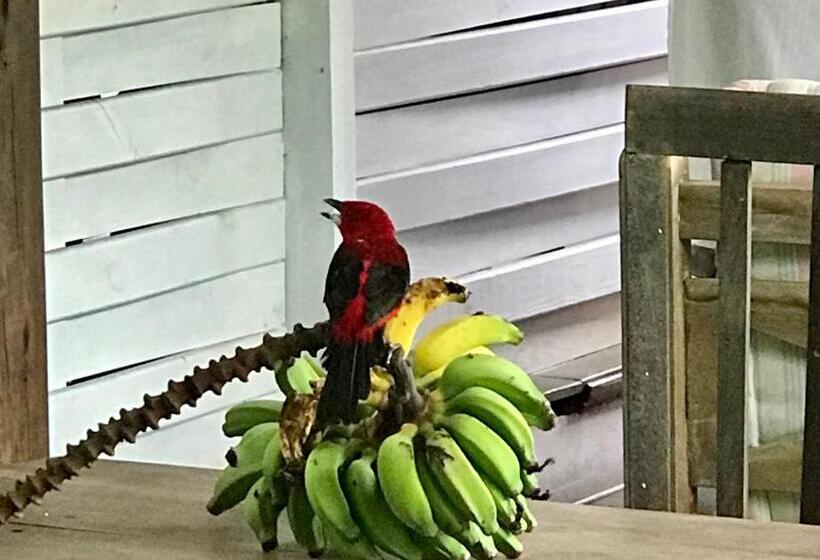 Pensionat Pousada Das Gêmeas