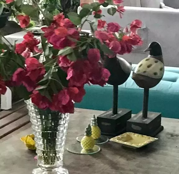 ペンション Pousada Das Gêmeas