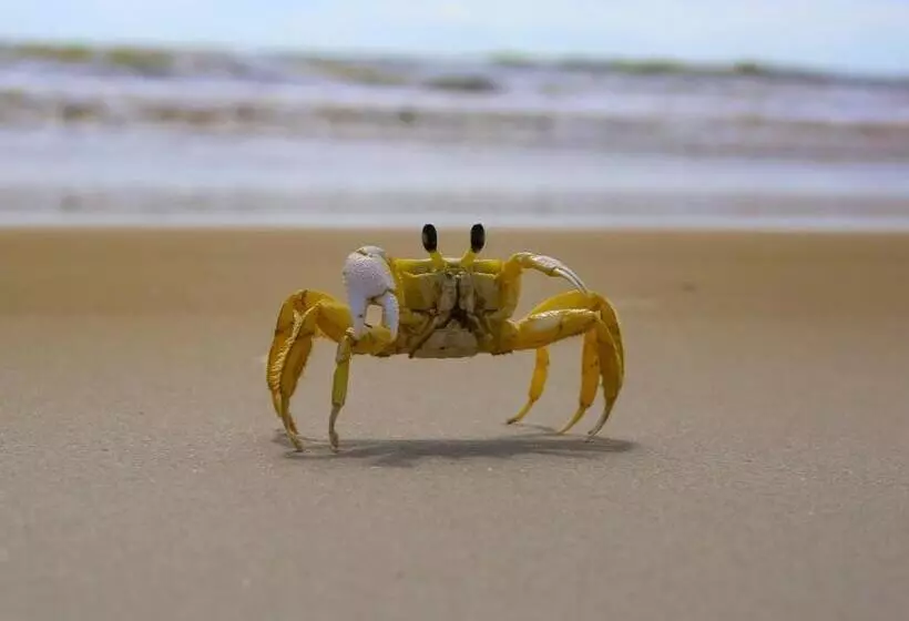 Majatalo Pousada Kalunga