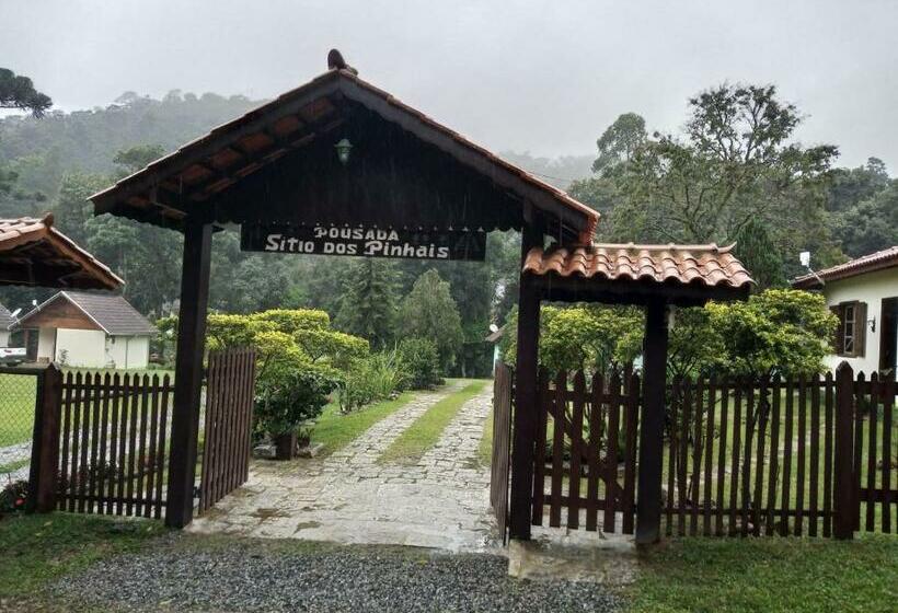 Pensão Pousada Sitio Dos Pinhais