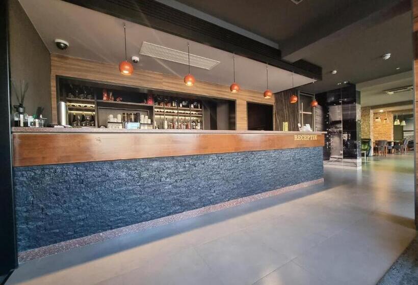 Pensionat Vila Topaz