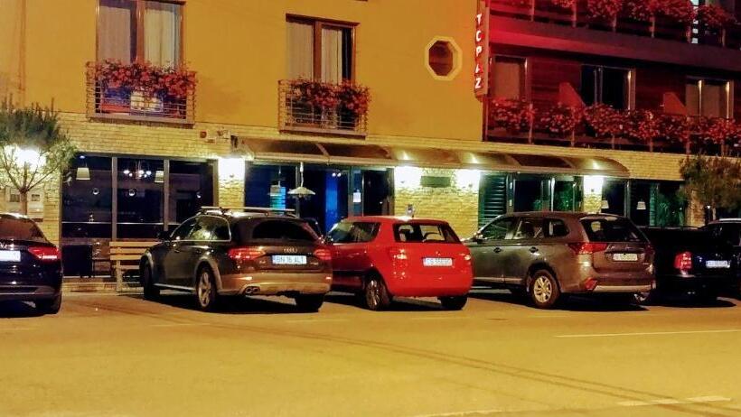 Pensionat Vila Topaz