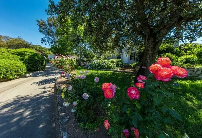 Residence Club Marina Viva