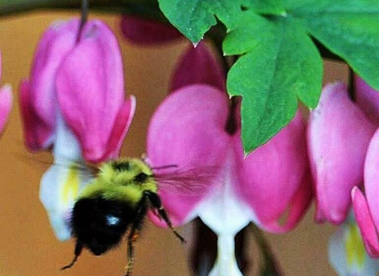 A Suite Retreat Beyond Bed & Breakfast