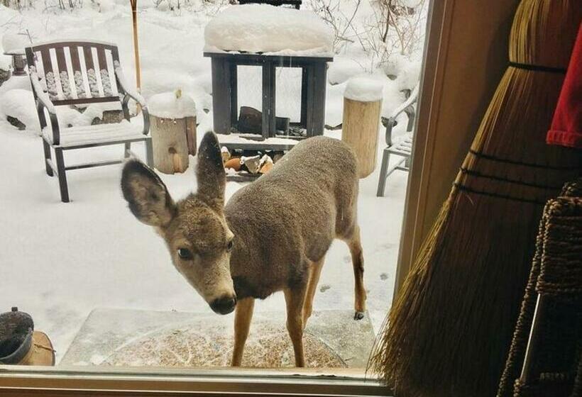 A Suite Retreat Beyond Bed & Breakfast