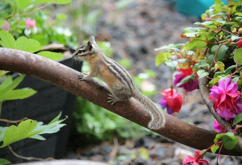 A Suite Retreat Beyond Bed & Breakfast