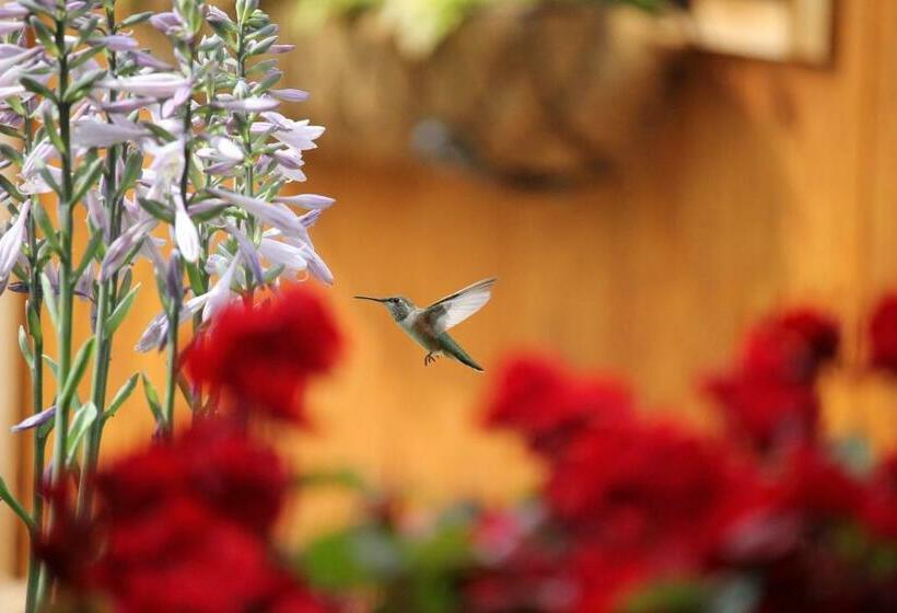 A Suite Retreat Beyond Bed & Breakfast