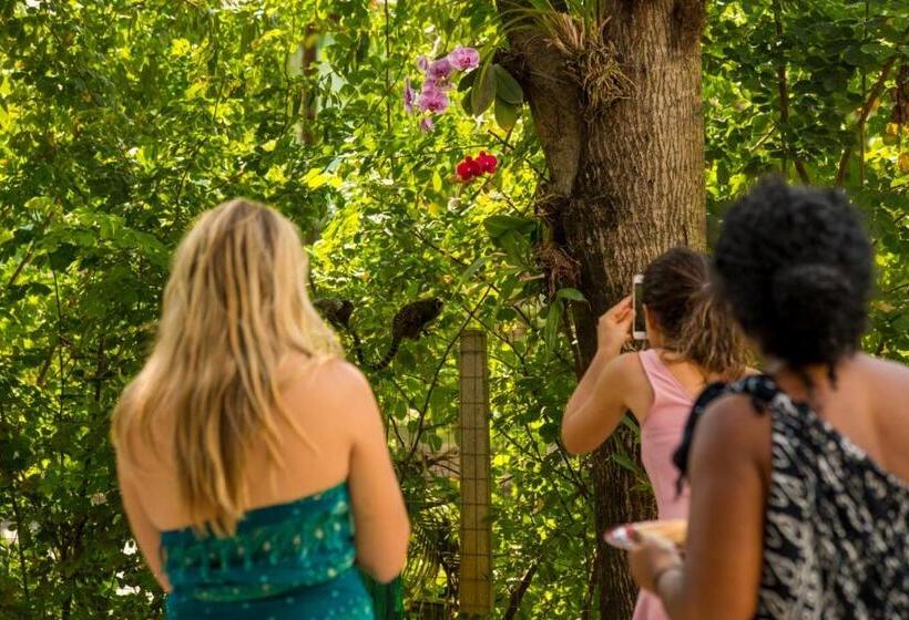 הוסטל Galinha D'angola