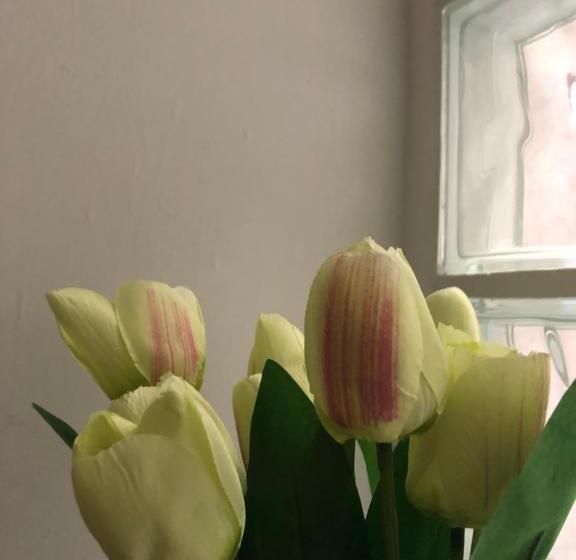 تختخواب و صبحانه Decumani Prestige