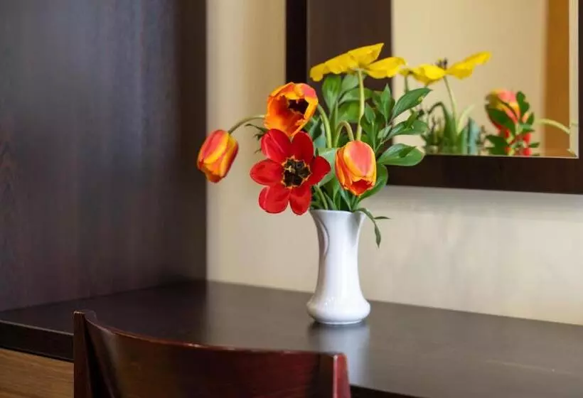 تختخواب و صبحانه Vila Monix Club Zlatibor