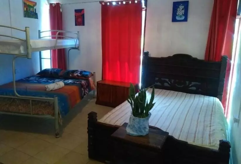 Hostel Paco House