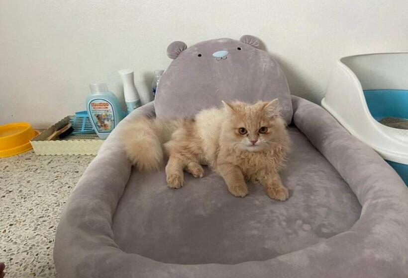 בית מלון כפרי Bangsaphan Resort