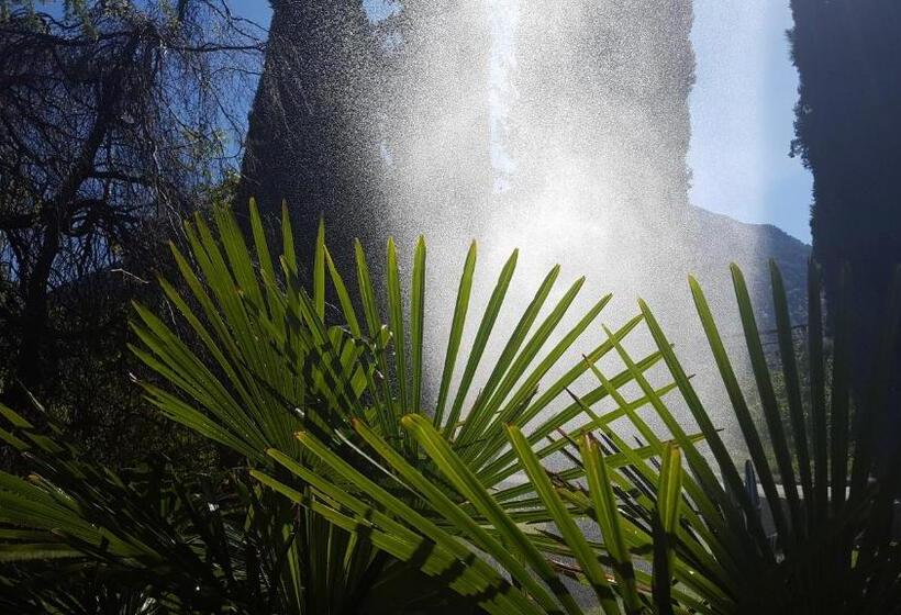 ホテル Pension Morenfeld