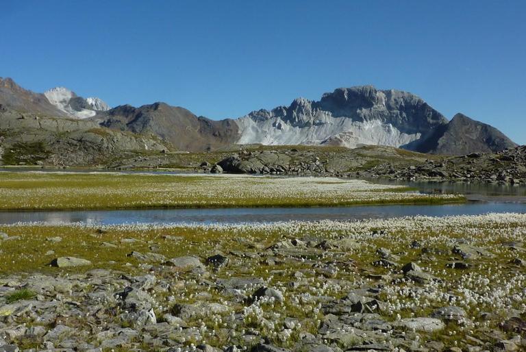 ホテル Pension Morenfeld