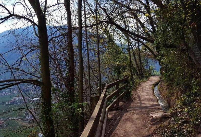 ホテル Pension Morenfeld