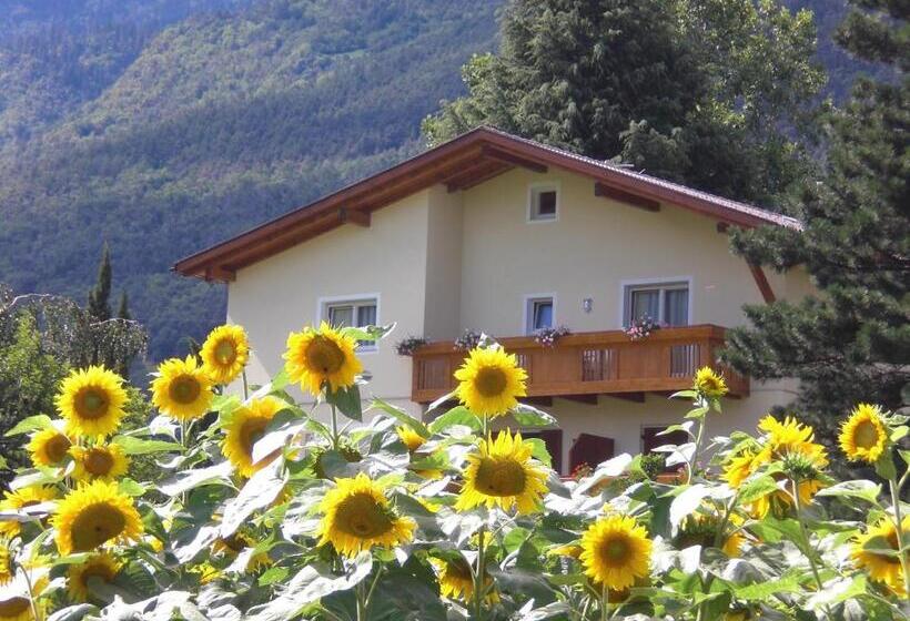 ホテル Pension Morenfeld