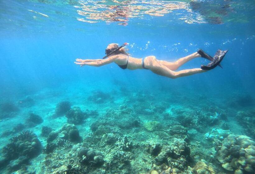 بنسيون Diver S Cafe Amed