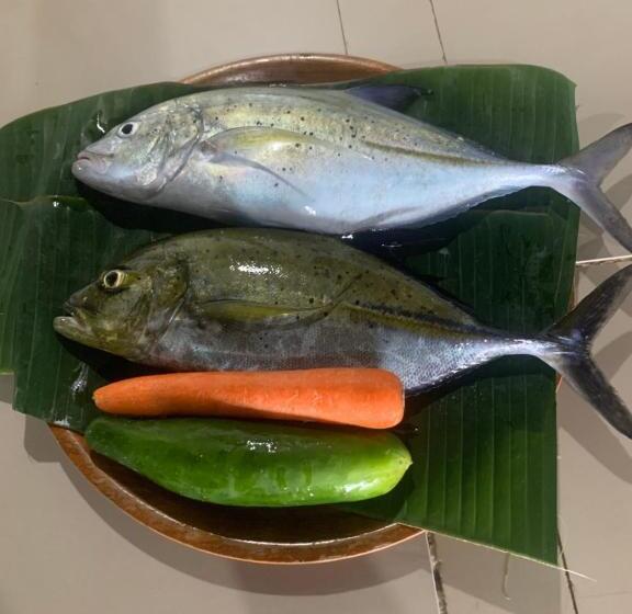 بنسيون Diver S Cafe Amed