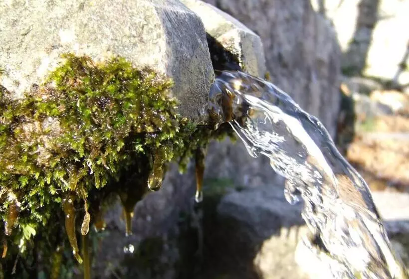 Aamiaismajoitus (B&B) Chambres D'hôtes Littariccia