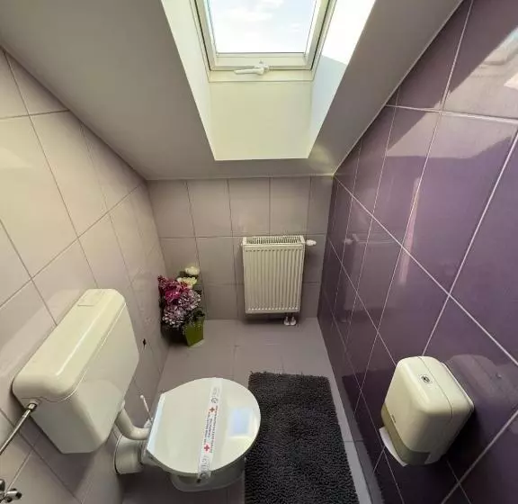 Aamiaismajoitus (B&B) Pansion Komfor Fitea