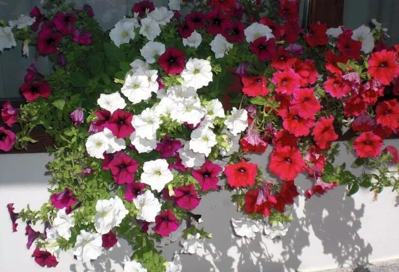 Hotelli Albergo Garni Martina