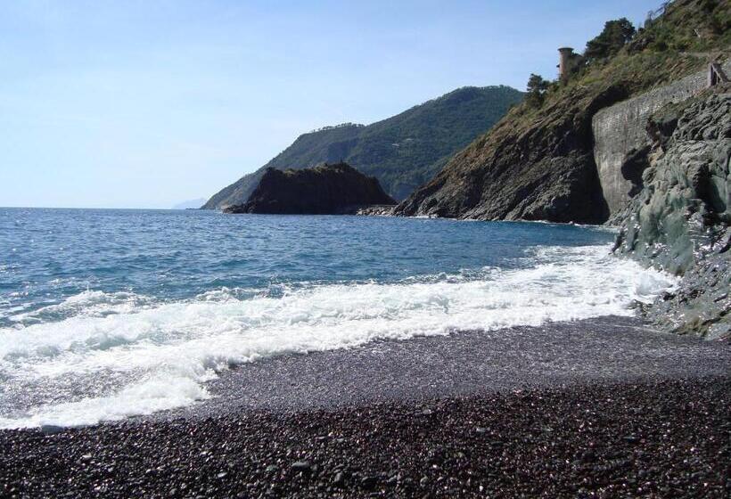 בית מלון כפרי Silvia