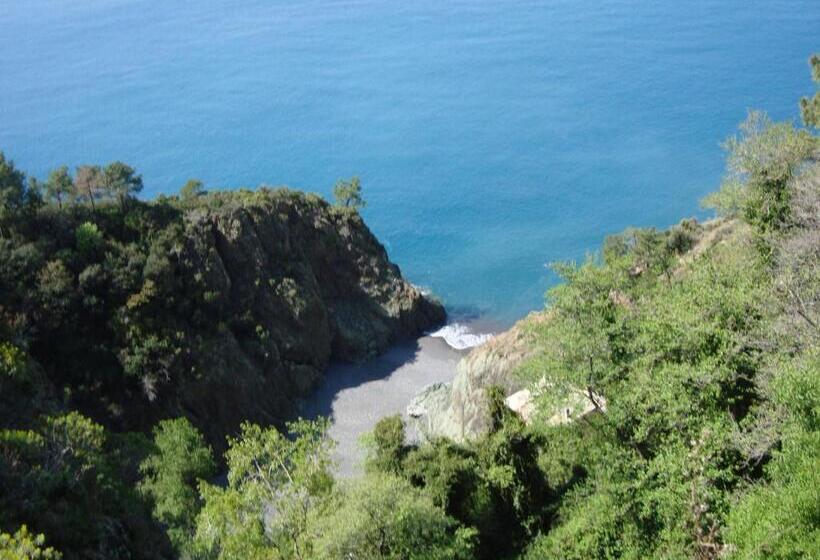 בית מלון כפרי Silvia