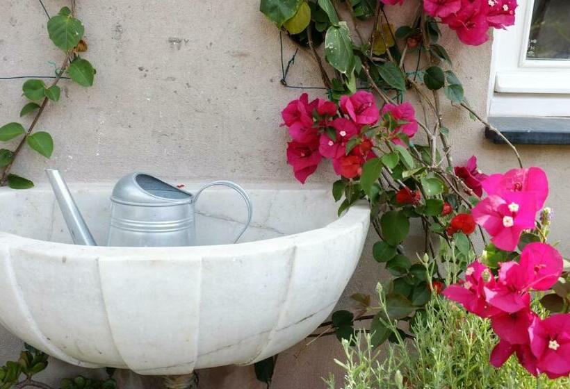 La Terrazza Di Vico Olivi B&b