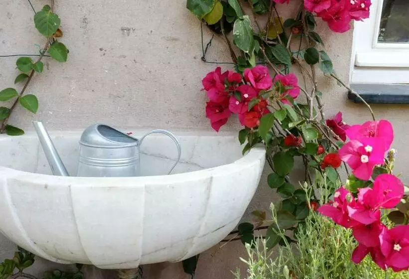 La Terrazza Di Vico Olivi B&b