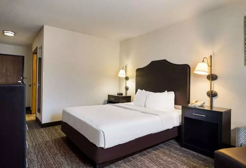 酒店 Park Inn By Radisson