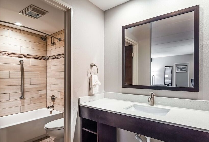 ホテル Best Western Sevierville/kodak Inn