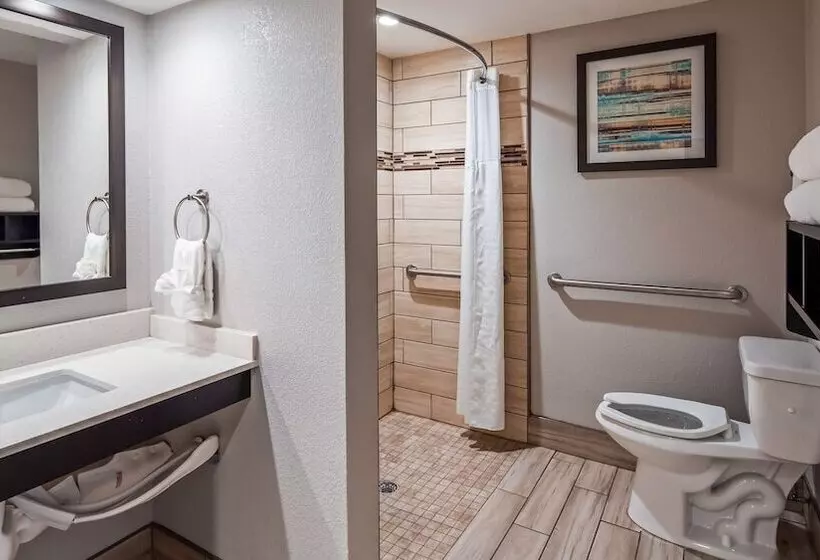 Отель Best Western Sevierville/kodak Inn