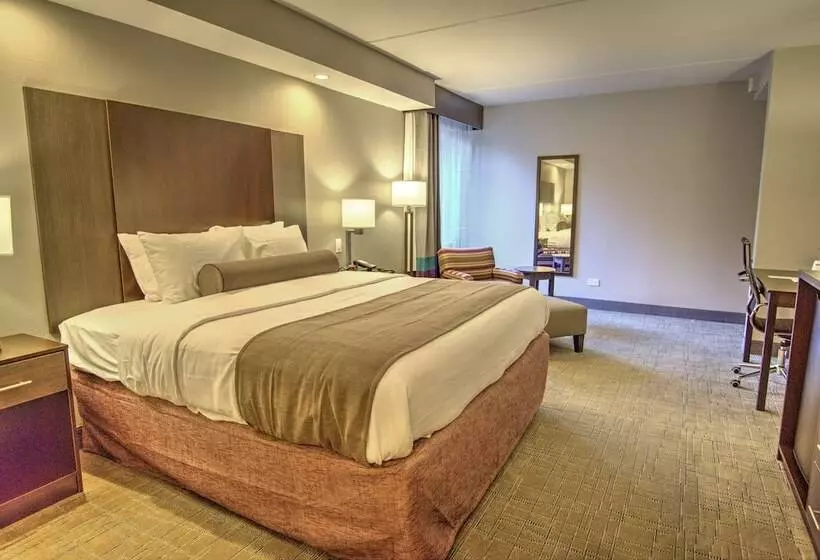 Отель Best Western Sevierville/kodak Inn