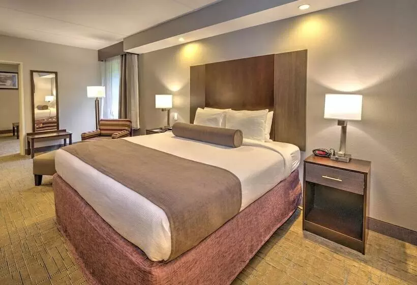 Отель Best Western Sevierville/kodak Inn