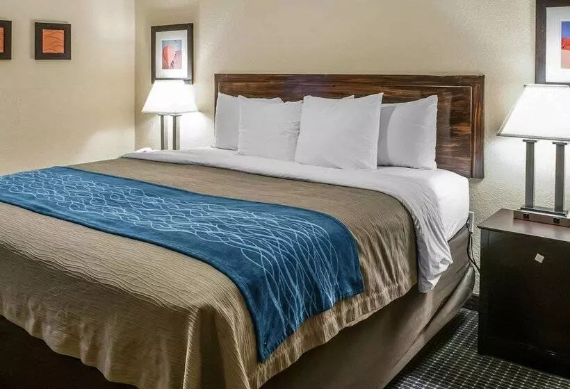 Отель Comfort Inn Gallup I40 Exit 20