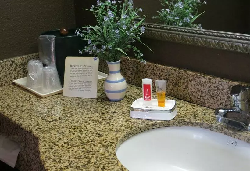 Hotel Econo Lodge Choice S I 95 Savannah Gateway 24 Hour Fitness Center On Site Guest Laundry On Site Perk