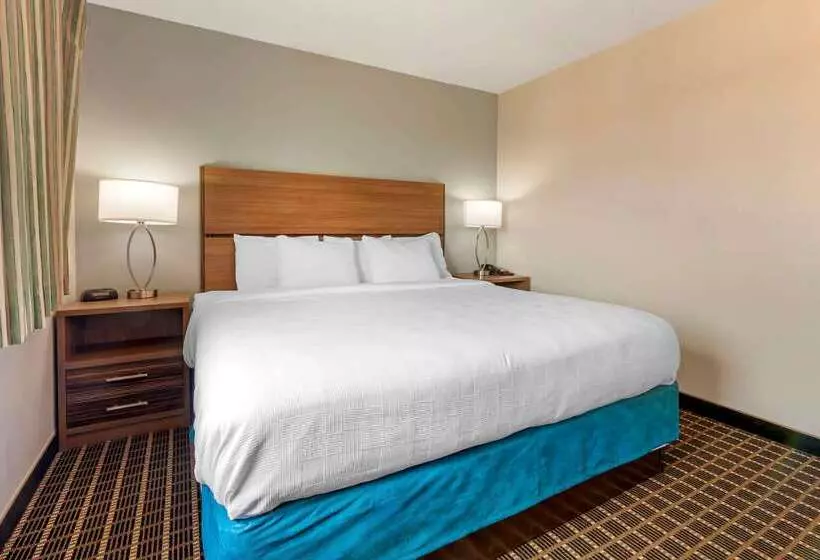 ホテル Mainstay Suites Dubuque At Hwy 20