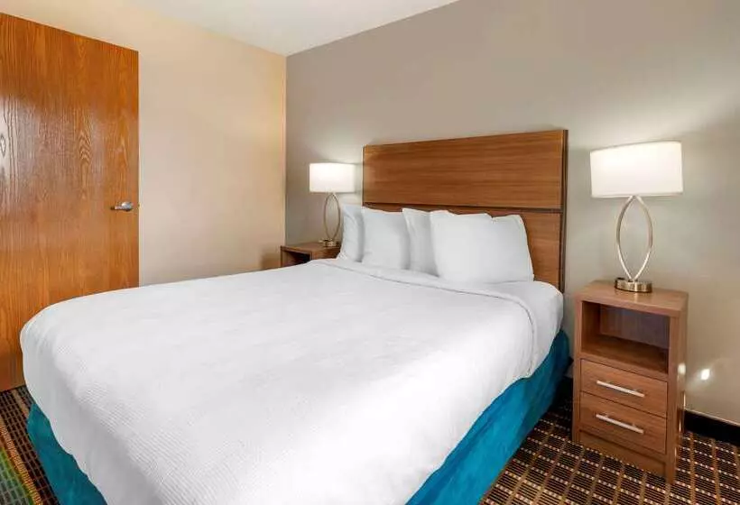 ホテル Mainstay Suites Dubuque At Hwy 20