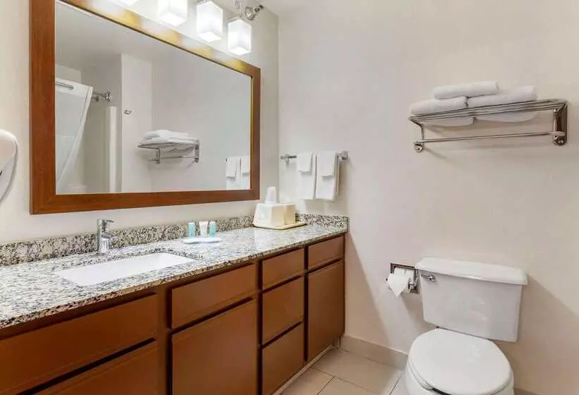 ホテル Mainstay Suites Dubuque At Hwy 20