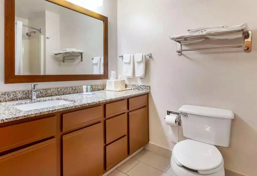 ホテル Mainstay Suites Dubuque At Hwy 20