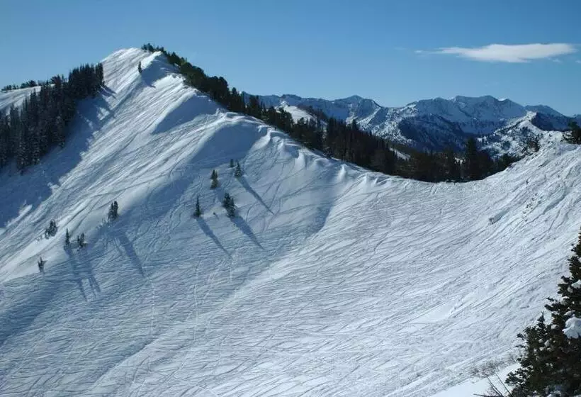 ホテル New Claim Condominiums 405