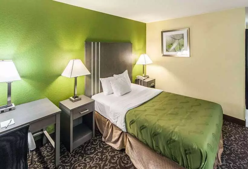 酒店 Quality Inn Decatur Near Us224