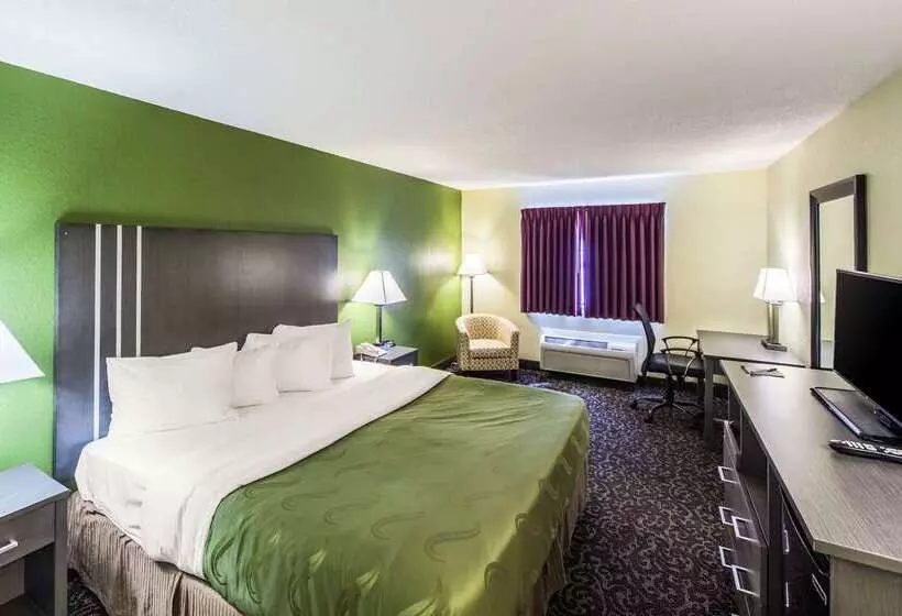 酒店 Quality Inn Decatur Near Us224