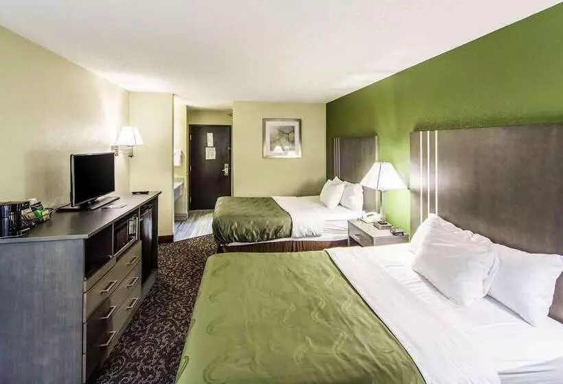 酒店 Quality Inn Decatur Near Us224