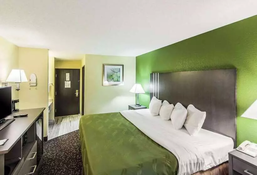 酒店 Quality Inn Decatur Near Us224