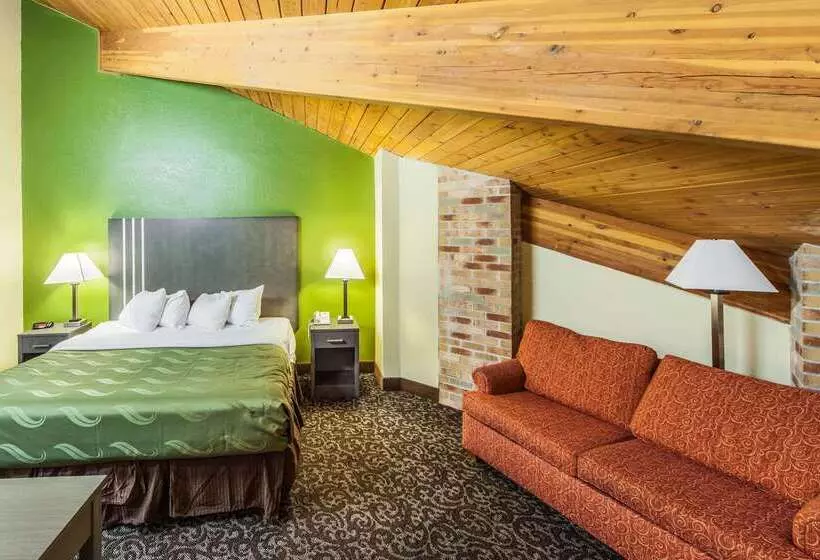 酒店 Quality Inn Decatur Near Us224