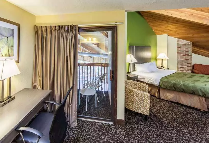 酒店 Quality Inn Decatur Near Us224