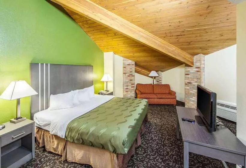 酒店 Quality Inn Decatur Near Us224