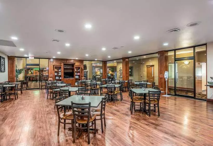 호텔 Quality Inn & Suites