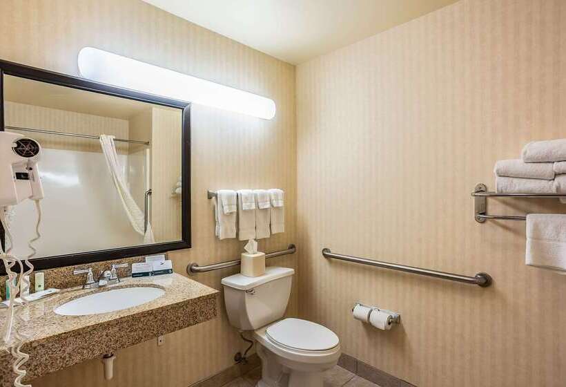 فندق Quality Inn & Suites